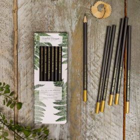 Woodland Fern Matt Black Pencils 18cm x6